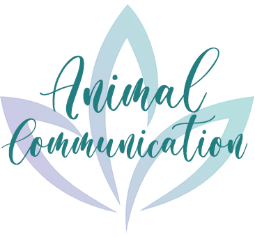 animal communication with Sharon Joy